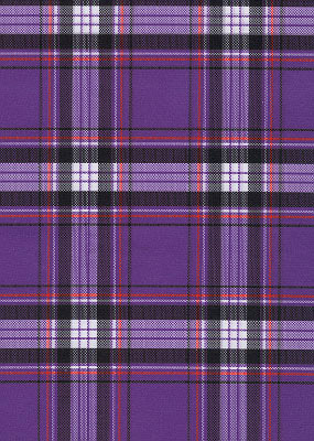 Print Fabric Plaid Purple