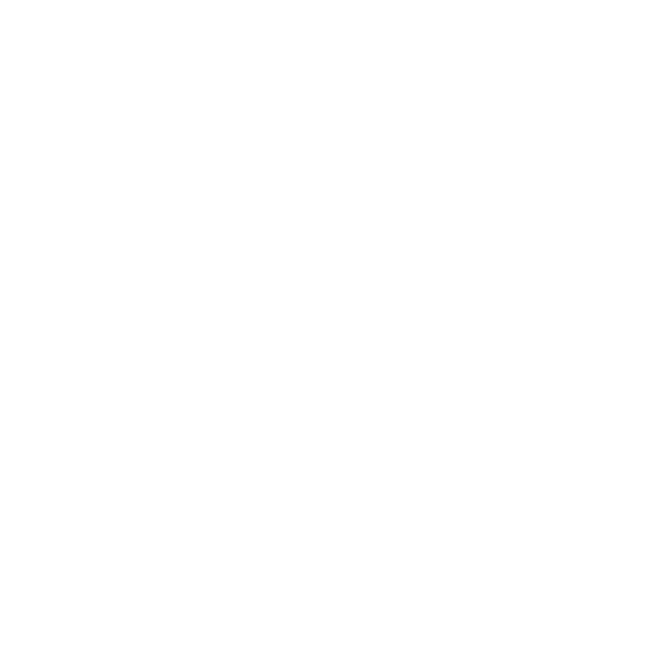 Logo_Wiley-X