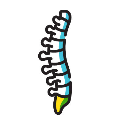 Suitable Vocations: Spine